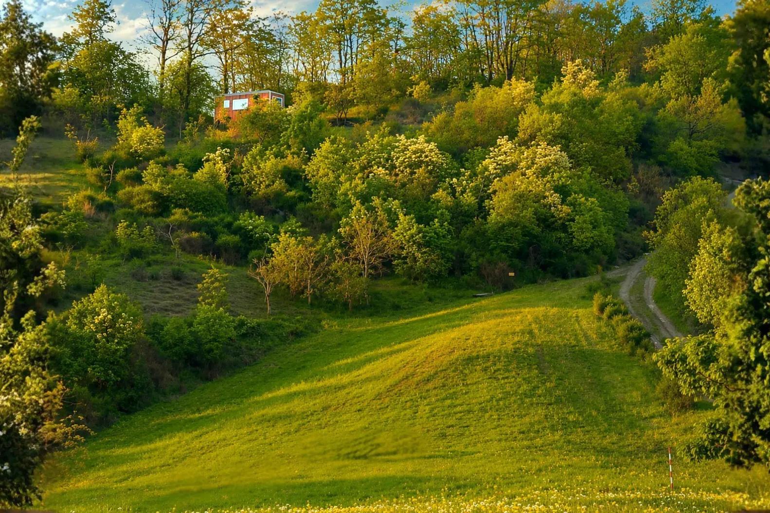 tiny house nel bosco in Emilia Romagna