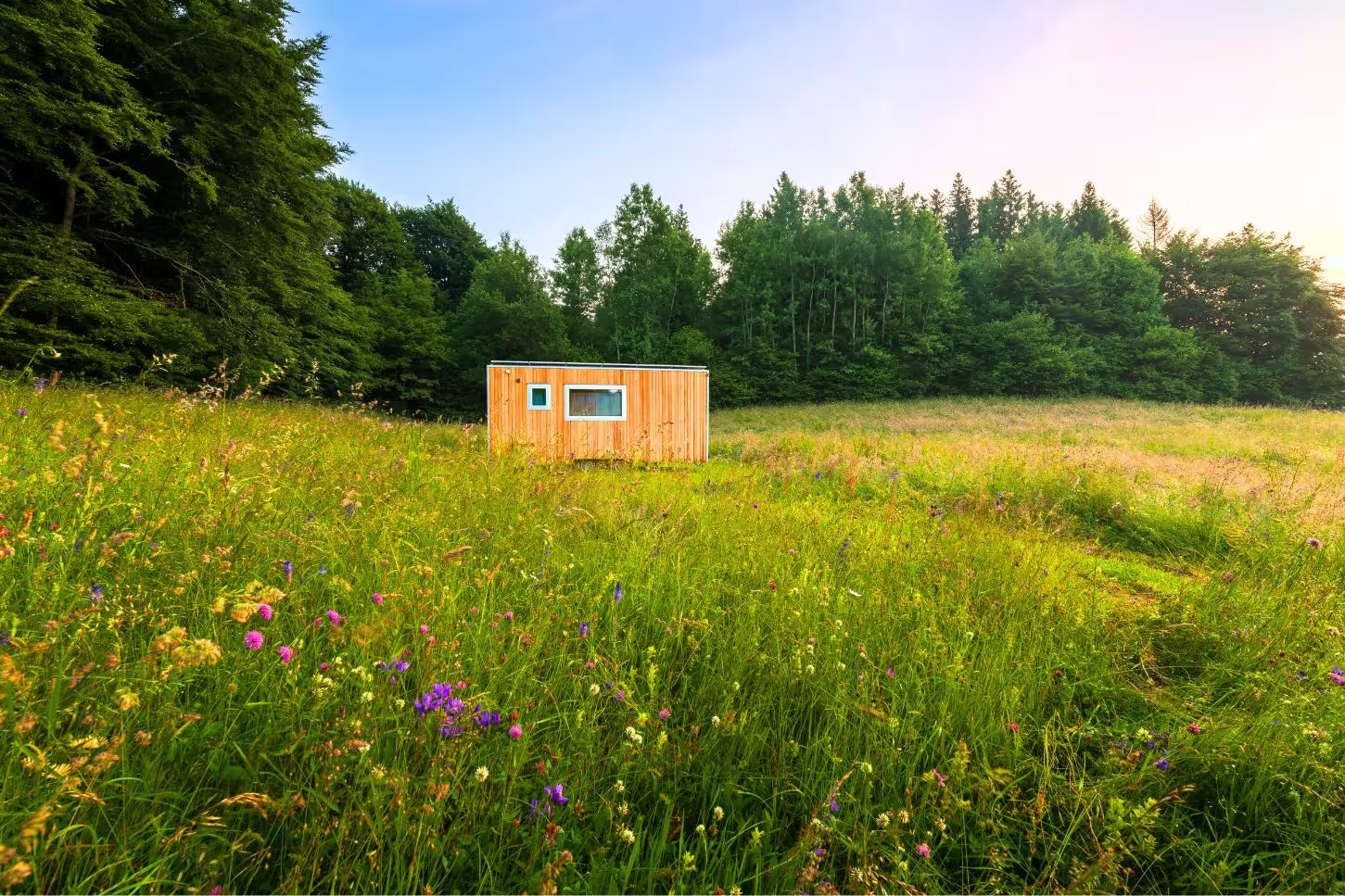 giardino con prato fiorito della tiny house sull'altopiano di curiedi nelle  Prealpi Carniche